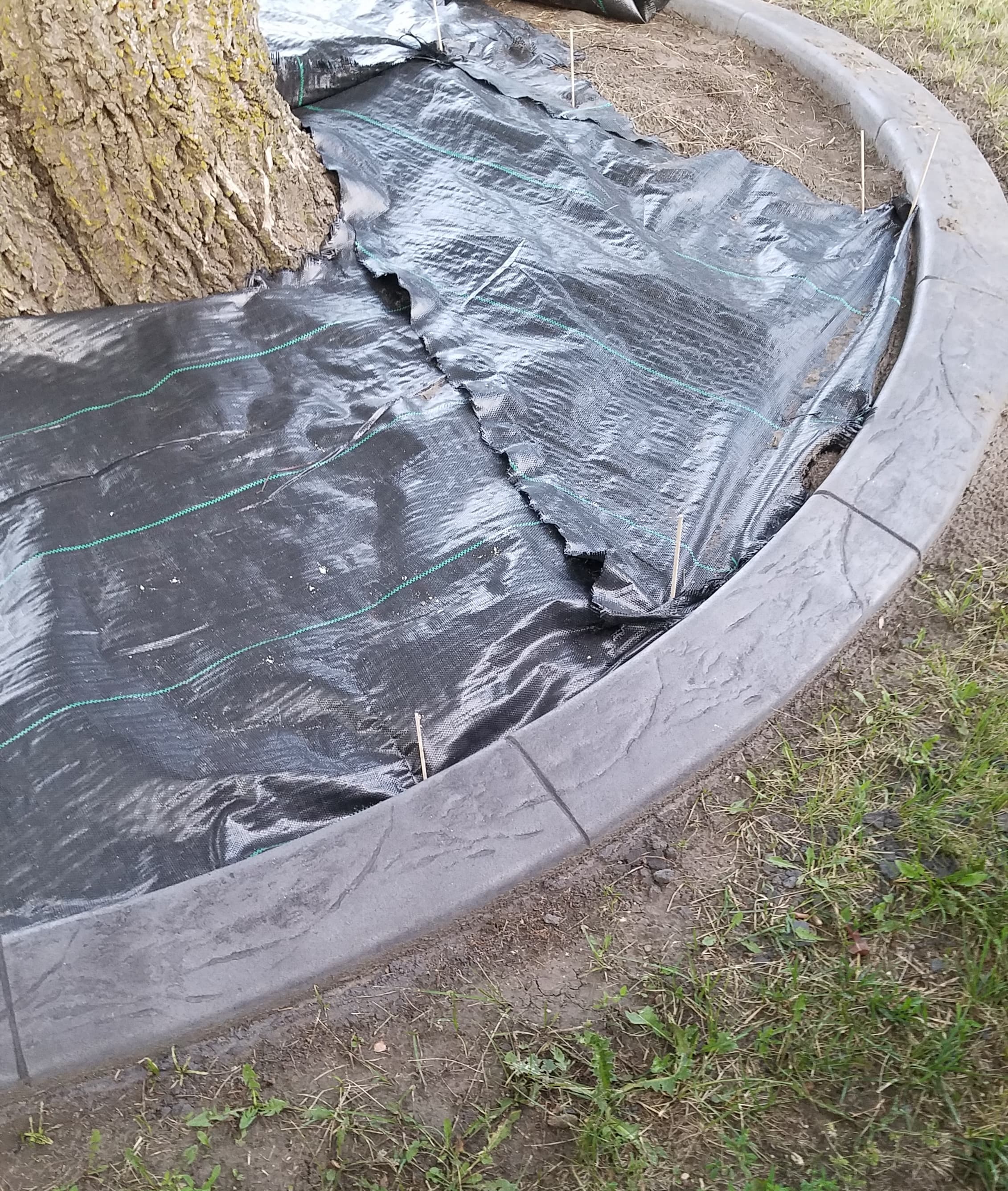 Long-Lasting, Low-Maintenance Curbing — Olson Construction & Concrete